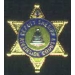 CALIFORNIA, RIVERSIDE COUNTY DEPUTY SHERIFF MINI BADGE PIN